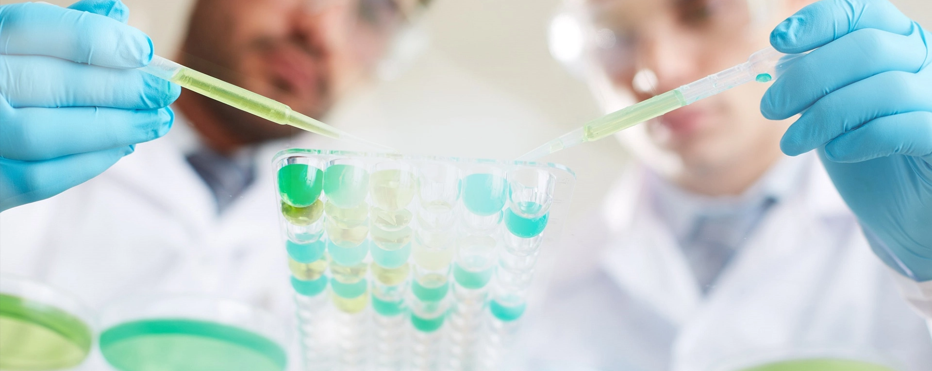 button-zincimage asdasdas